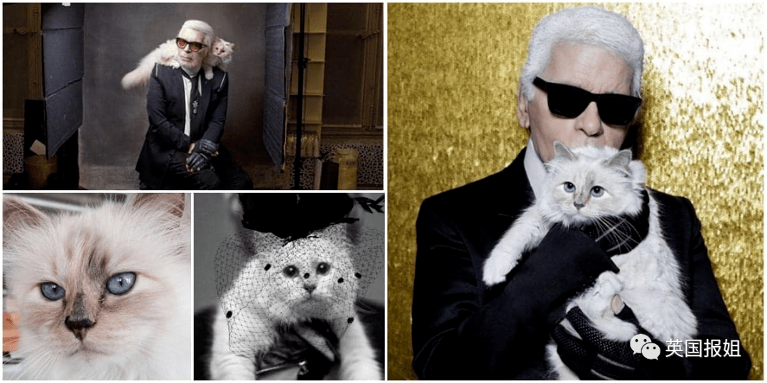 Karl Lagerfeld 退休是个谣言？_Karl Lagerfeld 退休是个谣言？_