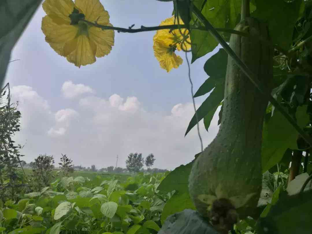 男士手链貔貅戴哪只手__男人佩戴貔貅手链的正确戴法