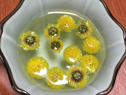 菊花决明子茶的功效与作用