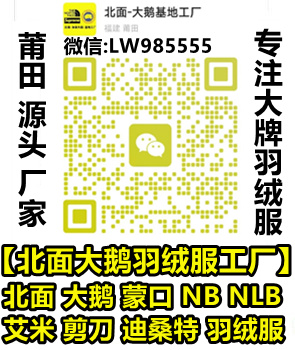 高仿大鹅清洗方法及货源推荐